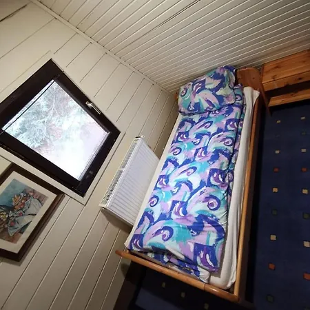 Winter House Vlasic * Sisava