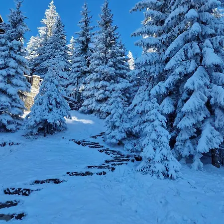 Winter House Vlasic * Sisava