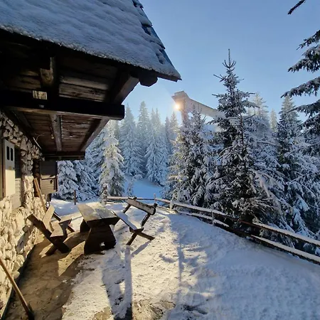 Winter House Vlasic Apartment