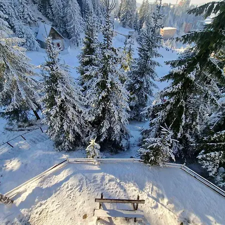 Apartment Winter House Vlasic *